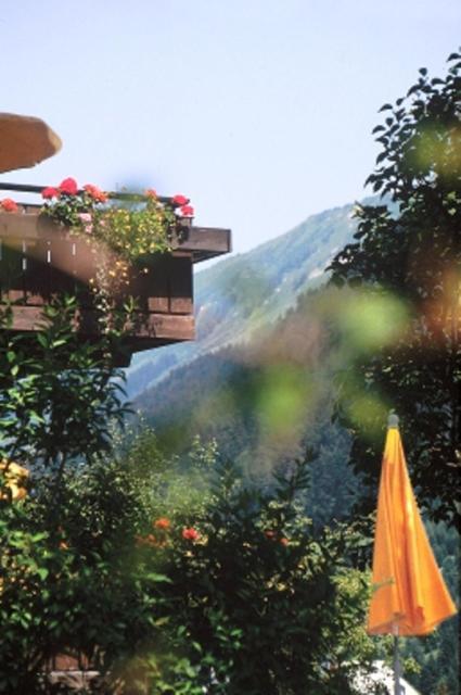Hotel Adler Garni Hirschegg  Dış mekan fotoğraf